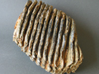 Archologische Restaurierungs-Werkstatt - Matthias Blana